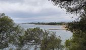 Tocht Stappen La Londe-les-Maures - test - Photo 5