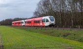 Percorso A piedi Doetinchem - Dwars door Gelderland (22) - Photo 10