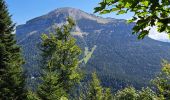 Tour Wandern Sarcenas - la Pinéa du col de Portes - Photo 9