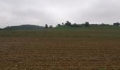 Trail Walking Florenville - Orval-Auflance-Villers-Orval 13km - Photo 1