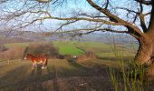 Trail Walking Theux - tillot . hodbomont . mont . wisselez . tillot - Photo 7