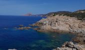 Randonnée Marche Cargèse - la Tour de cargese Corse - Photo 8