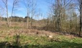 Tour Wandern Prény - Cabane Vautrin - Photo 2