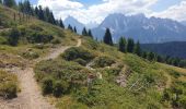 Trail Walking Toblach - Dobbiaco - Silverstertal - Valle San Silvestro - Photo 15
