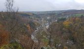 Tocht Stappen Vielsalm - top zicht vanaf groeve - Photo 3