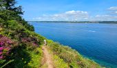 Tocht Stappen Roscanvel - La pointe des Espagnols Boucle 18 km - Photo 7