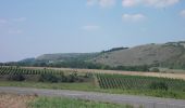 Tour Zu Fuß Balgstädt - Rundweg Hirschroda - Photo 10