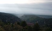Trail Walking Saumane-de-Vaucluse - saumane et ses environs - Photo 6