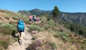 Excursión Senderismo Val-d'Aigoual - 4000 marches-14-06-22 - Photo 4