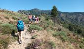 Tocht Stappen Val-d'Aigoual - 4000 marches-14-06-22 - Photo 4