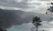 Tocht Stappen Monterosso al Mare - Monterosso to Levanto - Photo 12