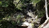 Tour Wandern Krüt - Lac de Kruth - Grand Ventron - château de Wildenstein  - Photo 10