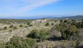 Trail Walking Plan-d'Aups-Sainte-Baume - Plan d'Aups-Sainte Baume - Photo 20