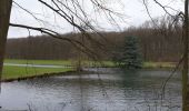 Tocht Stappen Tervuren - 2020-03-15 - Tervuren - Étangs de Vossem - Photo 16