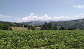 Excursión Senderismo Saint-Genix-les-Villages - 73_gresin_montTournier_18km_630 - Photo 13