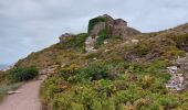 Trail Walking Erquy - LE CAP D'ERQUY DEPUIS LE CAMPING LA VALLEE - Photo 14