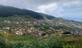 Trail Walking Ribeira Brava - Levada Boa Morte - Photo 7