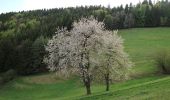 Tocht Te voet Söding-St. Johann - Stallhofner Rundweg - Photo 1