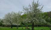 Randonnée Marche Valkenburg aan de Geul - Route-des-vins-berg-en-terblijt--houthem-st-gerlach-vi6 - Photo 6