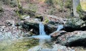 Tocht Stappen Aywaille - Le vallon du Ninglinspo à Aywaille - Photo 1