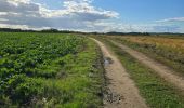 Trail Walking Unknown - Lavardin - Chemin de la roue des Carriers - Photo 12