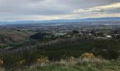 Trail On foot Spreydon-Cashmere Community - Hiking trail - Photo 3