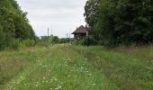 Trail On foot Sobótka - Strzeblów - Jordanów Śląski - Photo 9