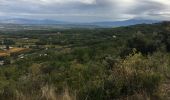 Trail Running Velleron - Canal-Carpentras-filles-02112019 - Photo 2