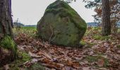 Tour Zu Fuß Hilpoltstein - Eibachgrund - Photo 3