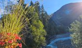 Trail Walking Les Houches - J21 - R20 - La Fontaine - La Tour St Michel - Photo 4