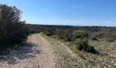 Tocht Stappen Nîmes - Clos de Gaillard - Photo 2