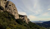 Trail Walking Le Revest-les-Eaux - Les hauteurs de La ripelle - Le revest Les eaux - Photo 16