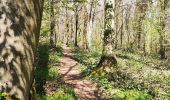 Excursión Senderismo Chimay - Promenade de l’eau blanche  - Photo 3