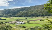 Tour Wandern La Chapelle-en-Vercors - Belvédère de Remoulat  - Photo 12