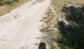 Trail Walking Rion-des-Landes - 80 8 2021  - Photo 3