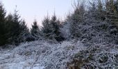 Trail Walking Ferrières - entre xhoris et bois de monty - Photo 3