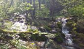 Trail Walking Vuillafans - vuillafans cascades tuffière et raffenot - Photo 5