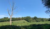 Tocht Stappen Domjean - Rando gorge de la Vire  - Photo 3