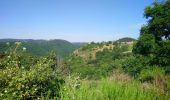 Percorso Marcia Ferrières-Saint-Mary - Cantal - Ferrières-Saint-Mary - Gorges de la Bouzaire - 7.7km 350m 2h50 - 2019 07 01 - Photo 4