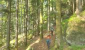 Tour Wandern Badenweiler - La Vierge Clarisse VOSGES - Photo 18