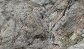 Excursión Senderismo Vallouise-Pelvoux - Les Écrins Glacier Blanc - Photo 3