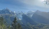 Tocht Stappen Chamonix-Mont-Blanc - 20231012 Chamonix Bois Prin Gaillants - Photo 6