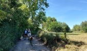 Randonnée Marche Trooz - ferme des loups  - Photo 1