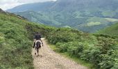 Trail Horseback riding Baztan - Elizondo - Urdax - Photo 18