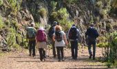 Tour Wandern Fréjus - SityTrail - Malpasset - Photo 4