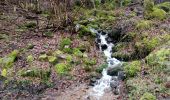 Excursión Senderismo Rosheim - Tour du Schwartzkopf et Fackenkopf - Photo 7