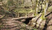 Tour Wandern Lapleau - viaduc rochers noirs - Photo 7