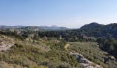 Tour Wandern Mouriès - Les Castellas des Baux - Photo 6