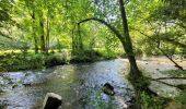 Tour Wandern Chimay - rando lompret 26-05-2023 - Photo 5