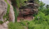 Tocht Stappen Ernolsheim-lès-Saverne - 2019-05-30 Marche Mt St Michel Ernolsheim les Saverne Reel - Photo 3